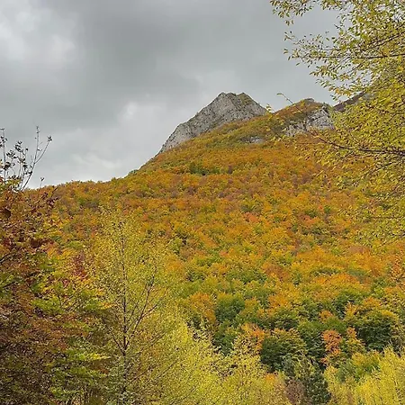 Appartamento Residenza Re Manfredi *